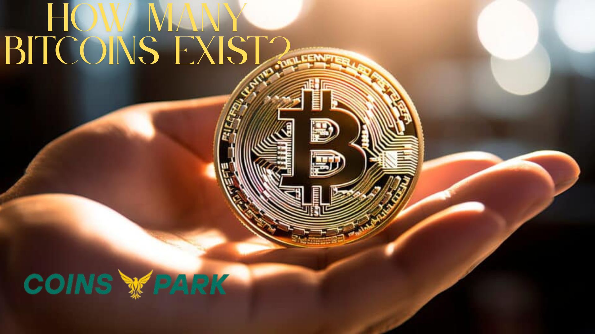 Bitcoins Exist