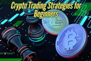 Crypto Trading Strategies for Beginners